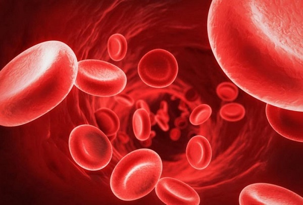 Oxy trong máu góp phần cung cấp sự sống cho con người