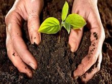 biện pháp khắc phục hiệu ứng nhà kính