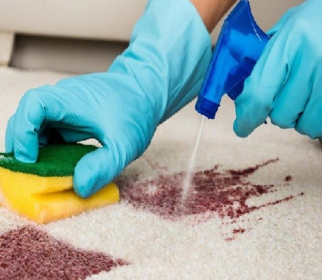 Cách vệ sinh thảm sàn nhà