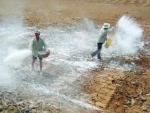 Biện pháp bón phân cải tạo cây trồng