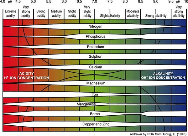 Biểu đồ thể hiện độ pH của cây trồng