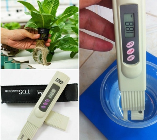 Cần dùng máy đo pH để đo độ pH trong dung dịch thủy canh