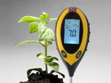 Xác định độ chua của đất trực tiếp tại hiện trường