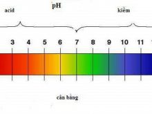 Độ pH của đất