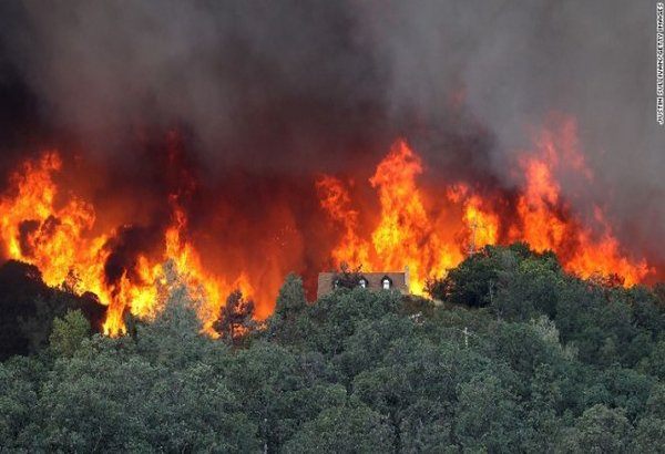 Cháy rừng là một trong những hậu quả hiệu ứng nhà kính