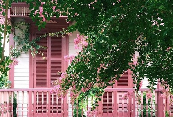 Ngôi nhà được sơn màu hồng lãng mạn với cây xanh điểm tô xung quanh