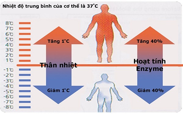 Con người có mức nhiệt độ trung bình khoảng 37 độ C