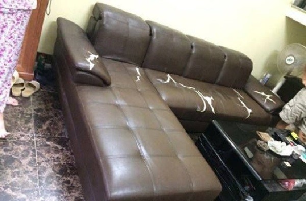 Sofa được làm từ da kém chất lượng rất dễ bị rách