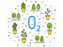 trong không khí oxi chiếm bao nhiêu phần trăm