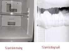 Tủ lạnh bị đóng tuyết