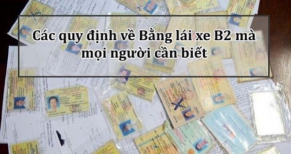 Các quy định về bằng lái xe B2