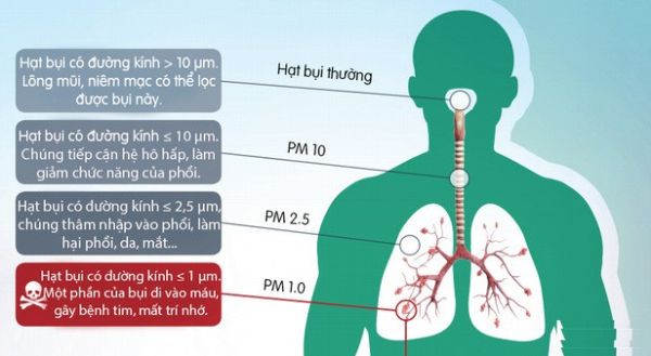 Có những loại bụi mịn nào?