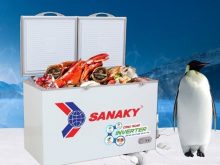 Các loại tủ đông phổ biến hiện nay