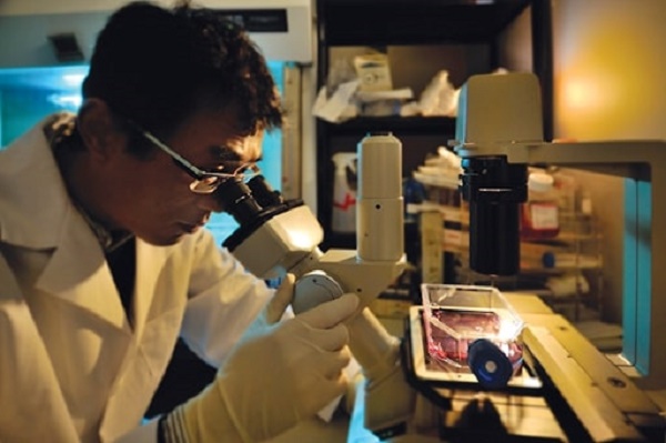 Mẹo khắc phục đau mỏi mắt khi dùng kính hiển vi