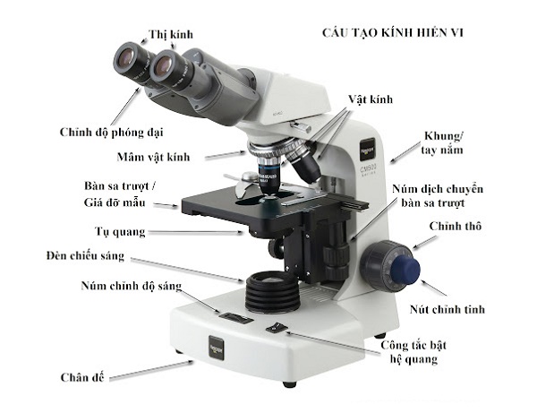 Cấu tạo chung của kính hiển vi