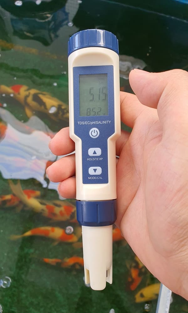 Máy đo pH đo độ pH của nước tại các hồ cá