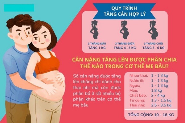 cân nặng của mẹ bầu theo từng tháng như thế nào là chuẩn