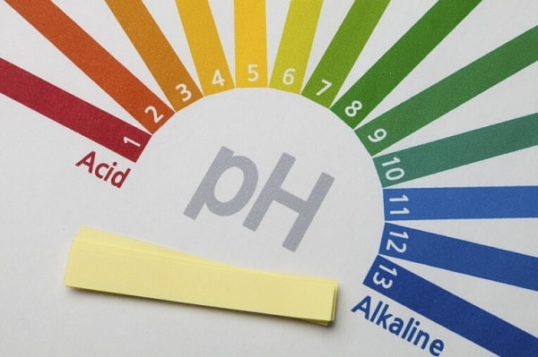 Cách đo độ pH của nước bằng giấy quỳ