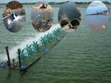 Kiểm soát độ pH ao nuôi tốt cho sự sinh trưởng của cá