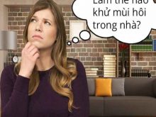 Nấm mốc gây ảnh hưởng không nhỏ đến đời sống và sức khỏe con người