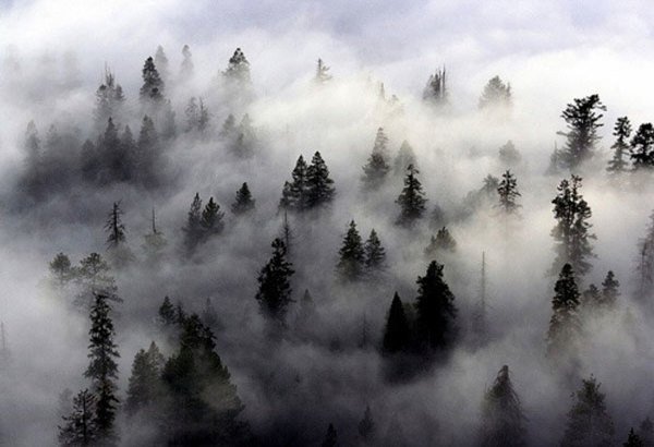 Sương mù núi được tạo thành khi có gió thổi không khí ở trên các chỗ dốc