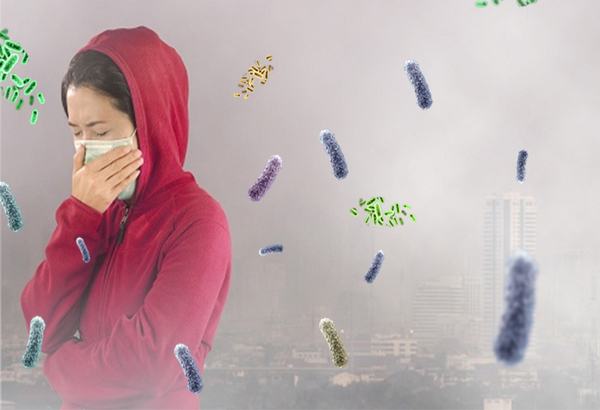 Tác hại của sương mù có thể gây ra các bệnh về đường hô hấp