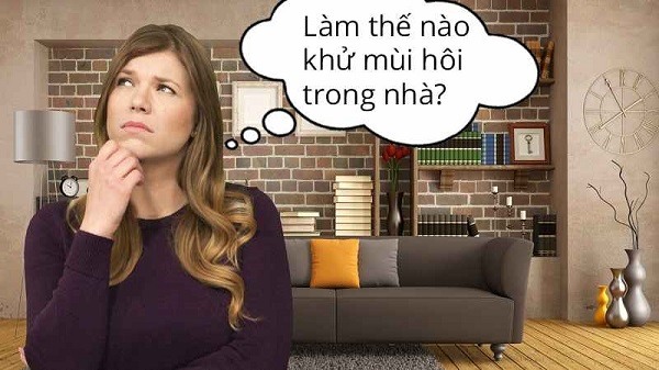 Nấm mốc gây ảnh hưởng không nhỏ đến đời sống và sức khỏe con người