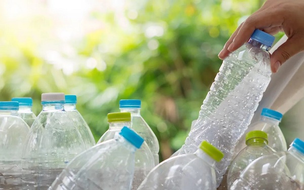 Xử lý chai nhựa sạch sẽ trước khi làm chậu cây