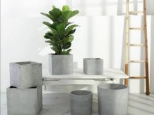 cách làm chậu cây cảnh bằng xi măng