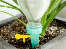 chậu cây tự tưới