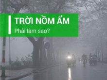 chống nồm nền nhà