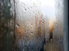 Độ ẩm tuyệt đối là gì