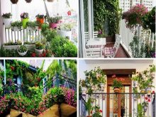 trồng cây ở ban công