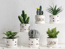 cách làm chậu cây cảnh mini
