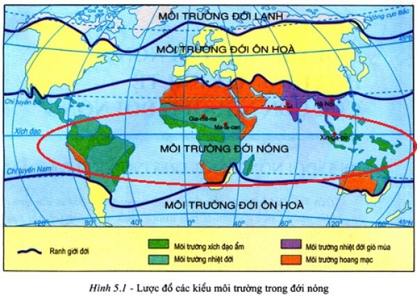 Độ ẩm tại môi trường xích đạo ẩm trên 80%