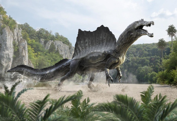 Tìm hiểu về khủng long gai Spinosaurus