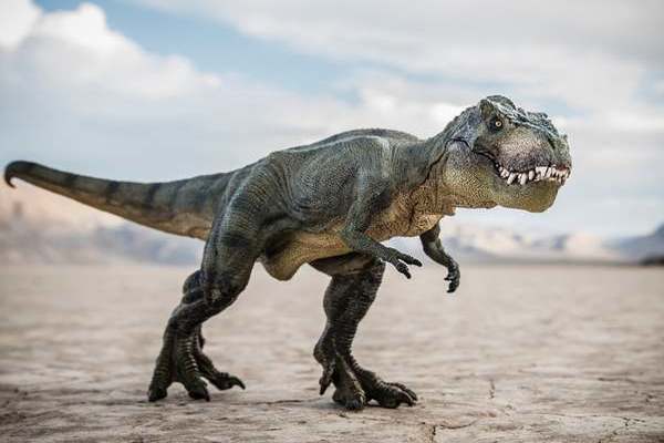 Trí thông minh của T-Rex và Spinosaurus