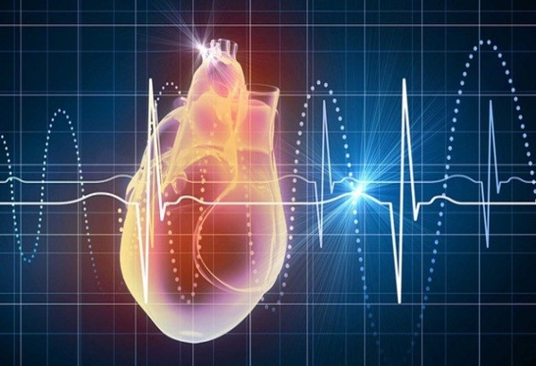 Đo nhịp tim bao nhiêu là bình thường?
