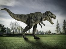 Những sự thật ít ai biết về khủng long bạo chúa T-Rex