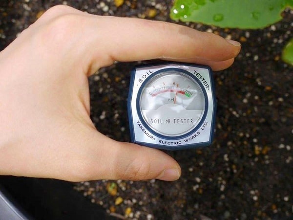 Máy đo độ ẩm đất chính xác