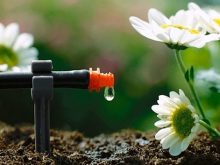 Độ ẩm đất là gì, cách đo độ ẩm đất