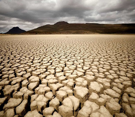 Hạn mặn là gì? Xử lý hạn mặn như thế nào?