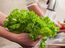 Máy rửa thực phẩm bằng sóng siêu âm có đáng mua?