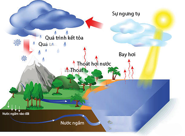 Cách tìm mạch nước ngầm, cách dò mạch nước ngầm để khoan giếng