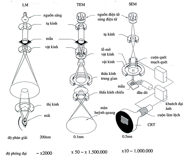 Cấu tạo kính hiển vi điện tử