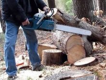 Máy cưa xích chạy xăng Makita EA4301F45B 2 thì có tốt không?