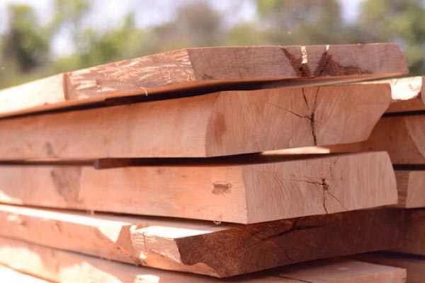  độ ẩm là yếu tố quan trọng quyết định chất lượng gỗ