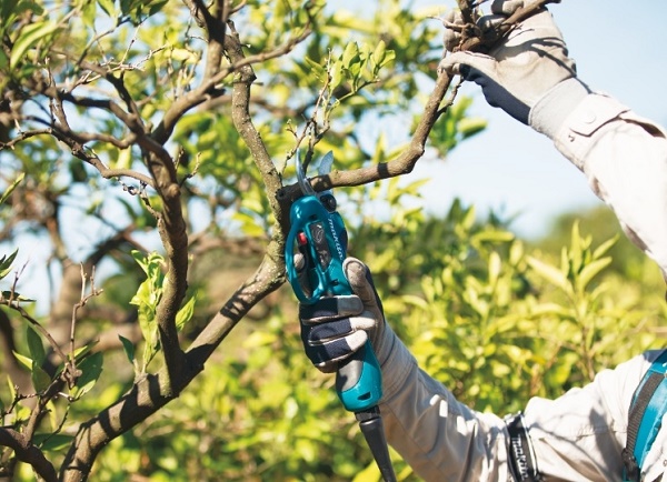 Makita DUP361RM2 cắt cành nhanh, chính xác