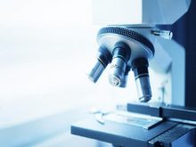 Kính hiển vi cầm tay nào tốt