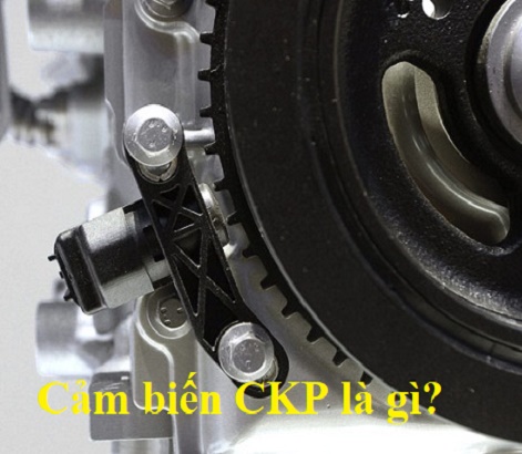 Cảm biến CKP là gì? Cách kiểm tra cảm biến CKP đơn giản